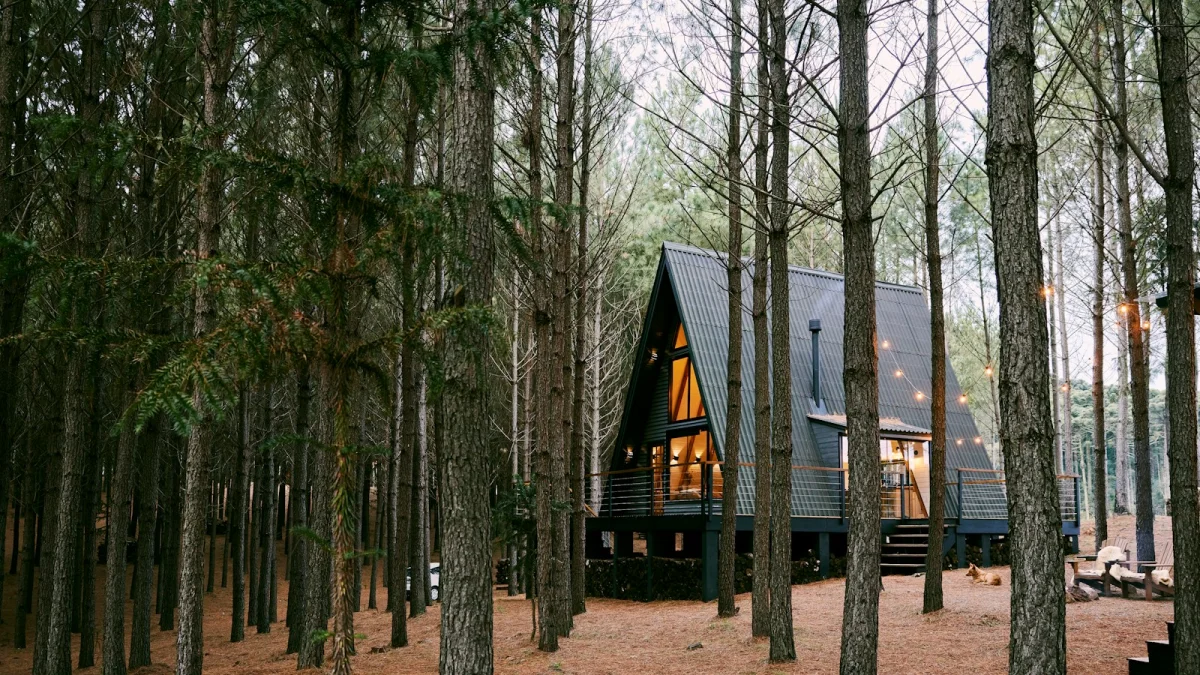 Pinewood A-Frame