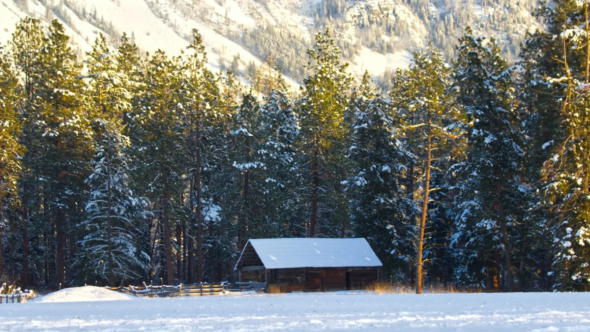 Snowdrift Cabin